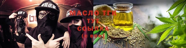 хмурый Верея