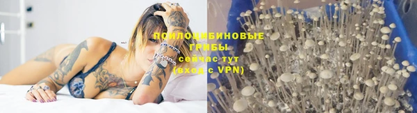 молекула духа Волосово