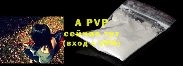 хмурый Верея