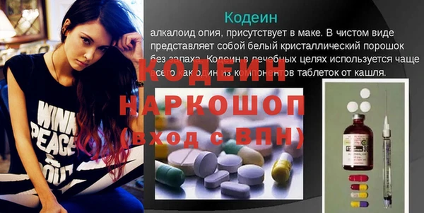 хмурый Верея