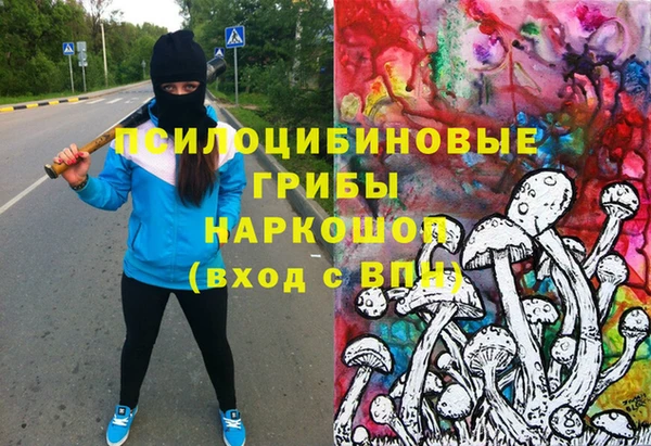 молекула духа Волосово